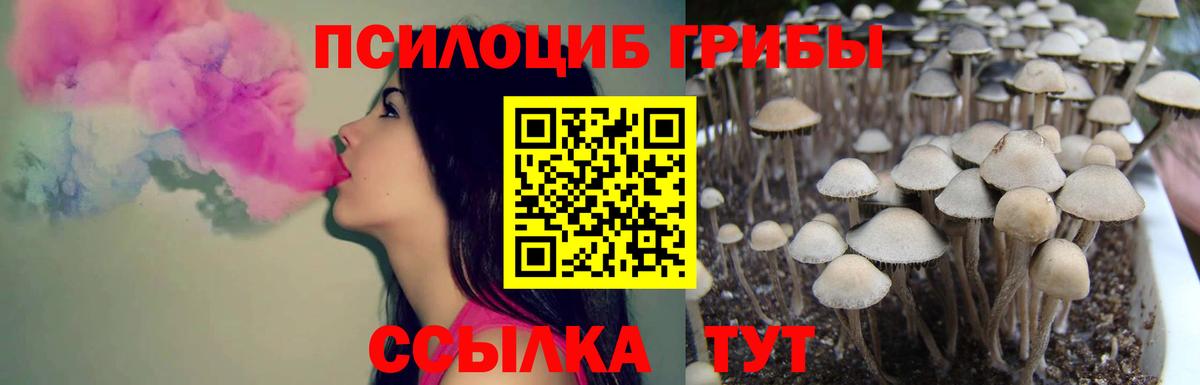 Псилоцибиновые грибы MAGIC MUSHROOMS  Вход с VPN  Семилуки  Псилоцибиновые грибы Psilocybe 